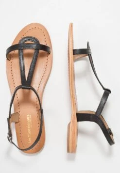 Hamess - Sandalias - Black -Mundo De Zapatos 7ba63f4302fa48b4a98ae939596996e4