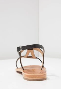 Hamess - Sandalias - Black -Mundo De Zapatos fe0ffa1090de4cedb31515475bce7a5b